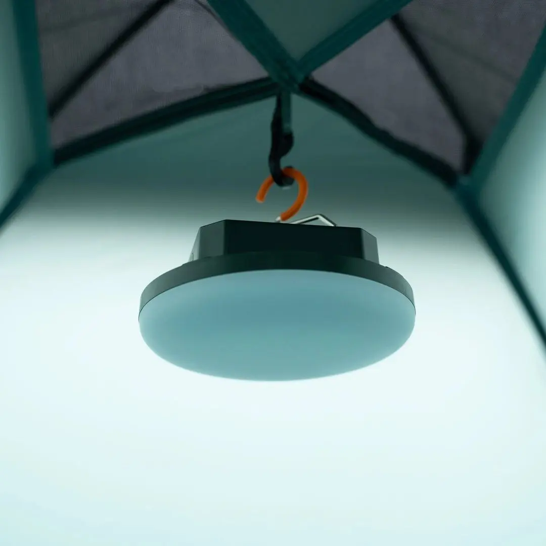 Cort Nils Camp NC6033 (Green Nightfall)