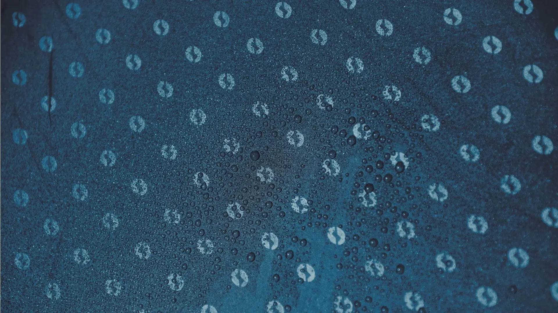 Cort Outwell Earth 4 (Blue)