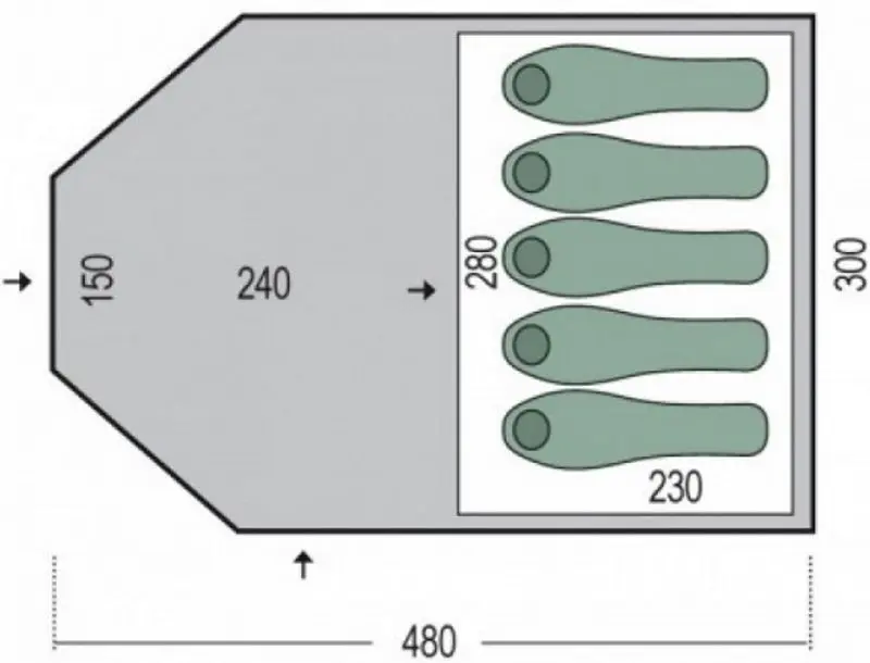 Cort Pinguin Campus 5 (Green)