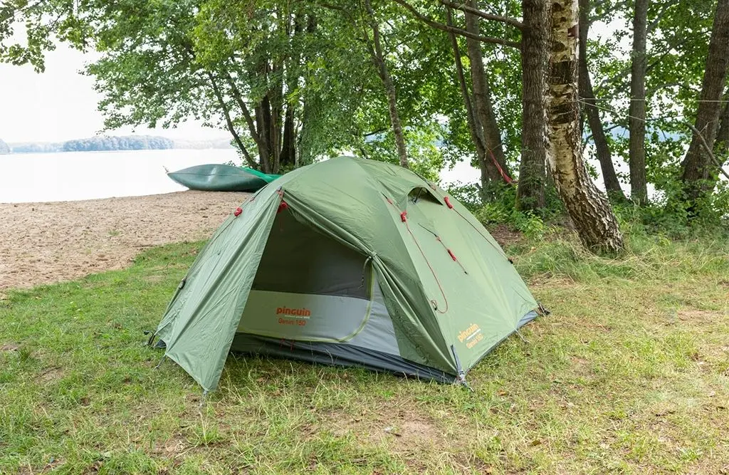 Cort Pinguin Gemini 150 (Green)