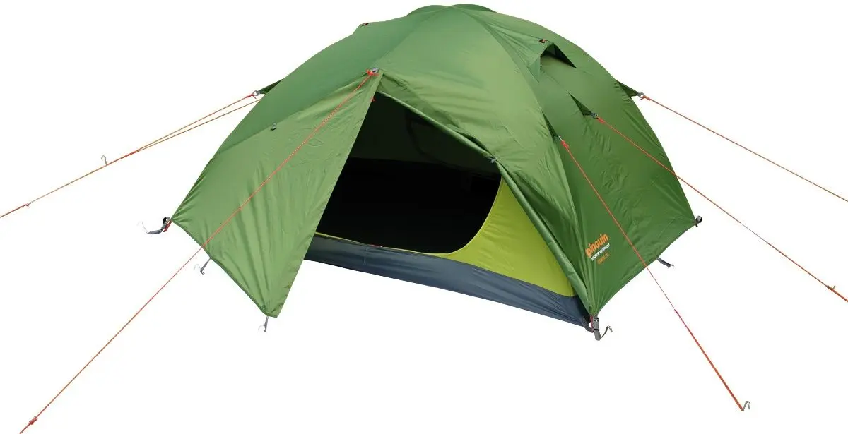 Cort Pinguin Gemini 210 (Green)