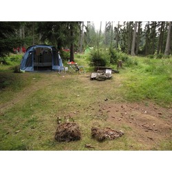 Cort Pinguin Interval 6 Steel (Green) Thumb