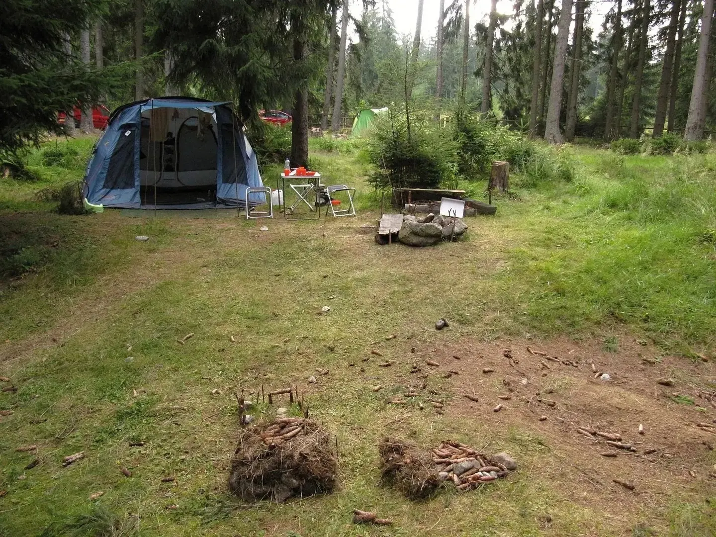 Cort Pinguin Interval 6 Steel (Green)