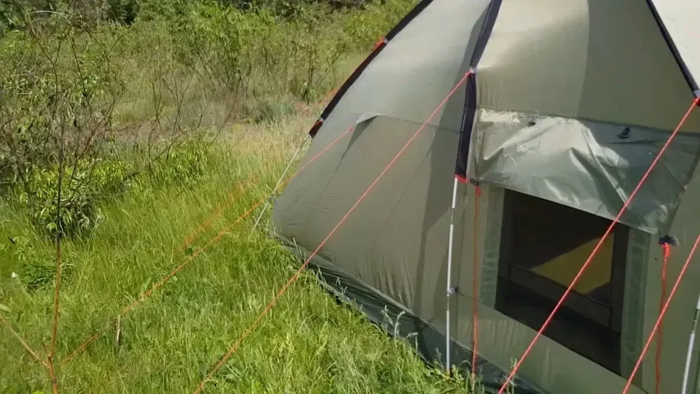 Cort Pinguin Nimbus 3 (Green)