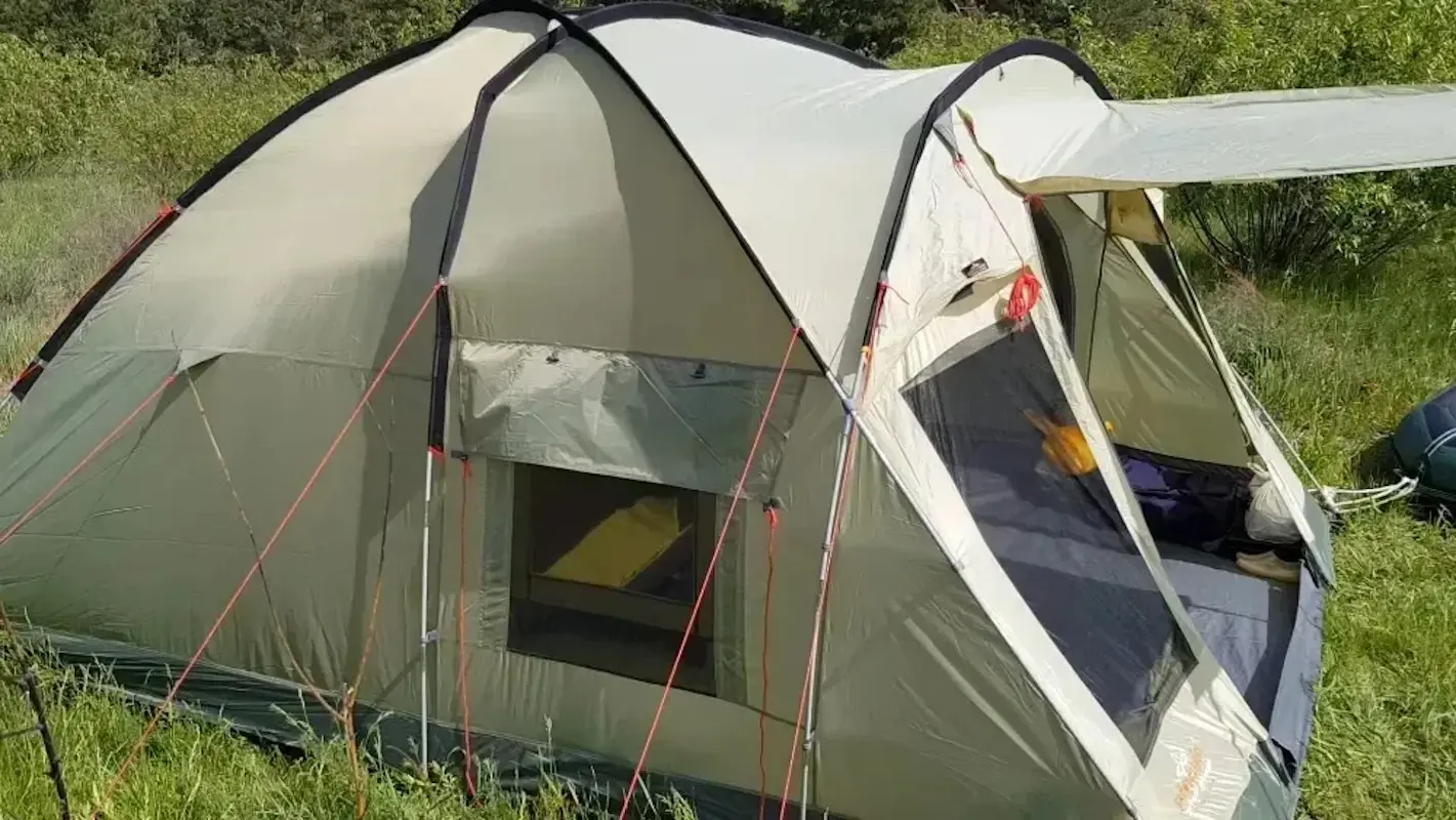 Cort Pinguin Nimbus 3 (Green)