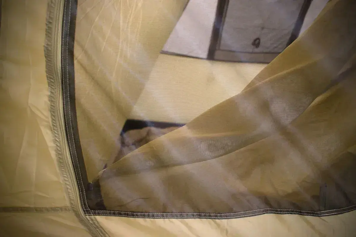 Cort Pinguin Nimbus 3 (Green)