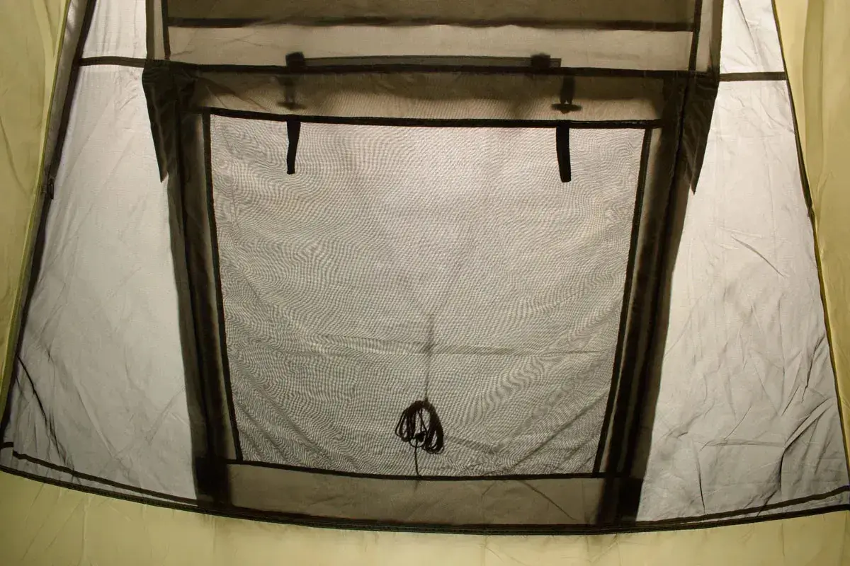 Cort Pinguin Nimbus 3 (Green)