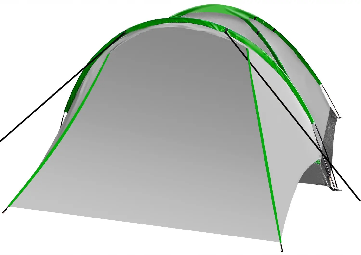 Cort Trizand Nevada 23483 (Grey/Green)