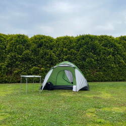 Cort Trizand Nevada 23483 (Grey/Green) Thumb