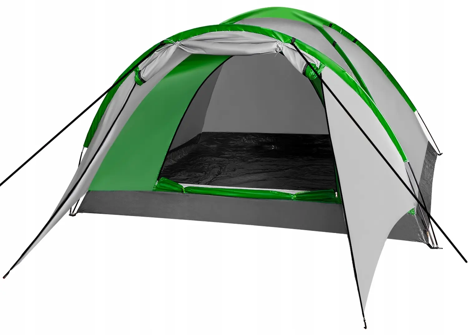 Cort Trizand Nevada 23483 (Grey/Green)