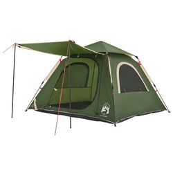 Cort VidaXL 4004143 (Green)