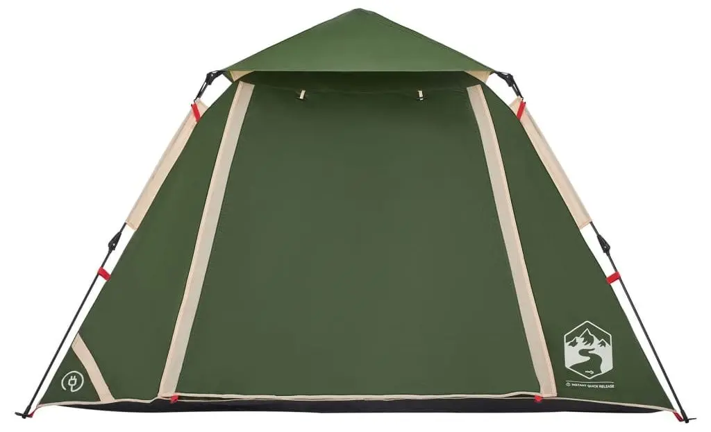 Cort VidaXL 4004143 (Green)