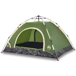 Cort VidaXL 4004169 (Green)