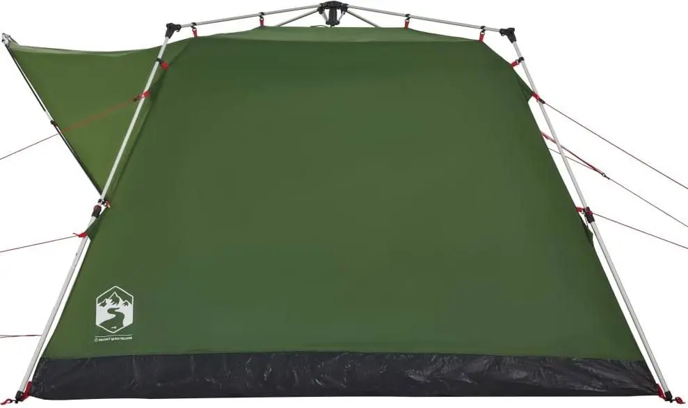 Cort VidaXL 4004219 (Green)