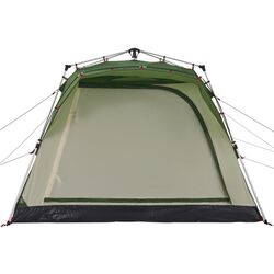 Cort VidaXL 4004219 (Green) Thumb