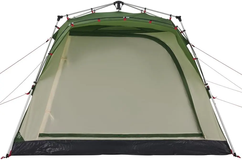 Cort VidaXL 4004219 (Green)