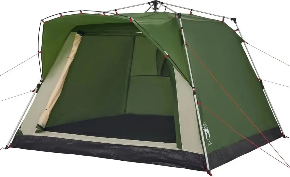 Cort VidaXL 4004219 (Green)