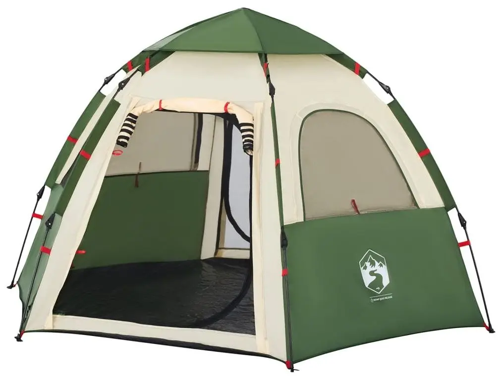 Cort VidaXL 4005332 (Green)