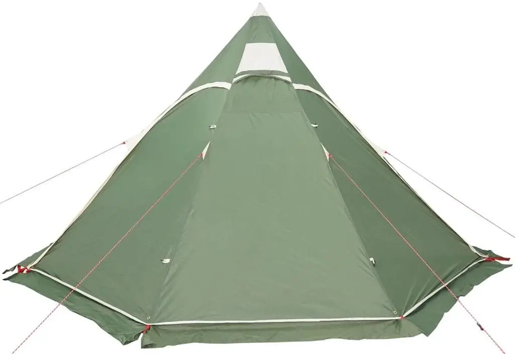 Cort VidaXL 4009407 (Green)