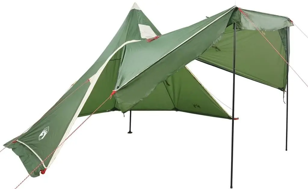 Cort VidaXL 4009407 (Green)