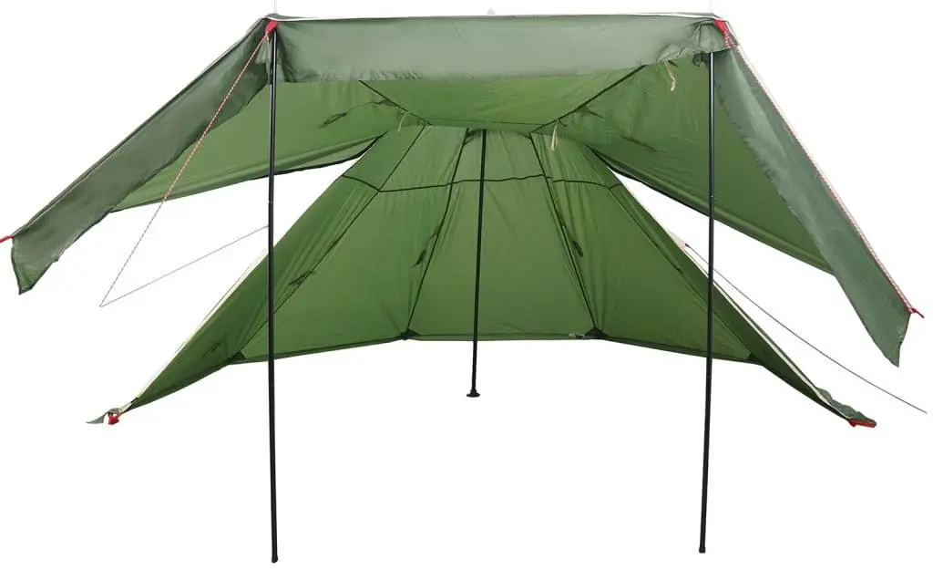 Cort VidaXL 4009407 (Green)