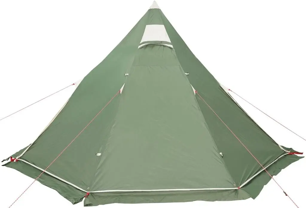 Cort VidaXL 4009407 (Green)