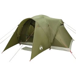 Cort VidaXL 4009464 (Green)