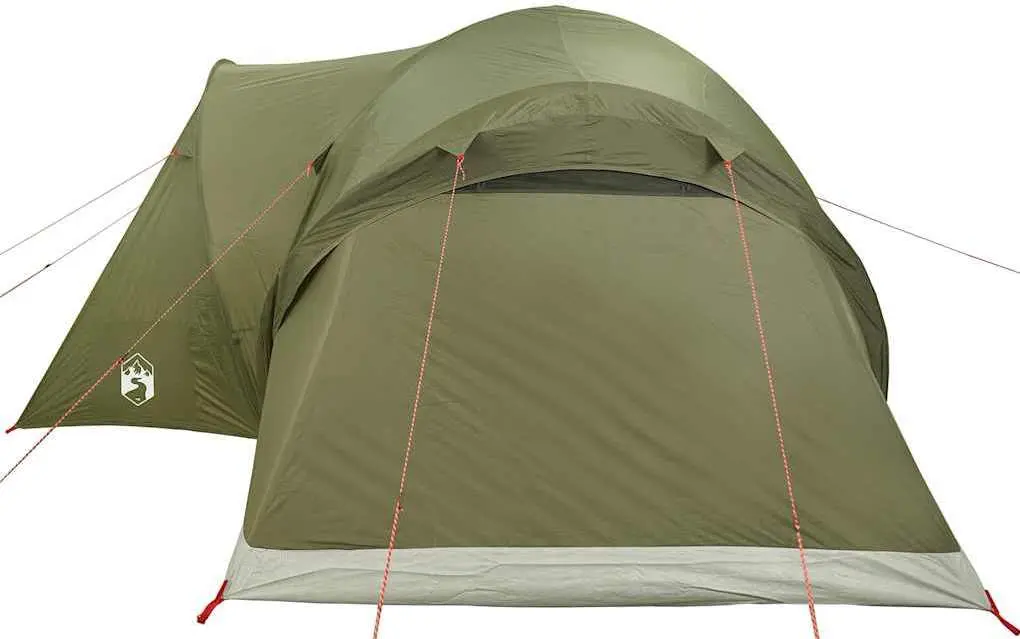 Cort VidaXL 4009464 (Green)