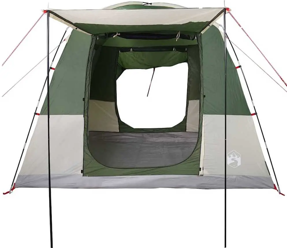 Cort VidaXL 4009488 (Green)