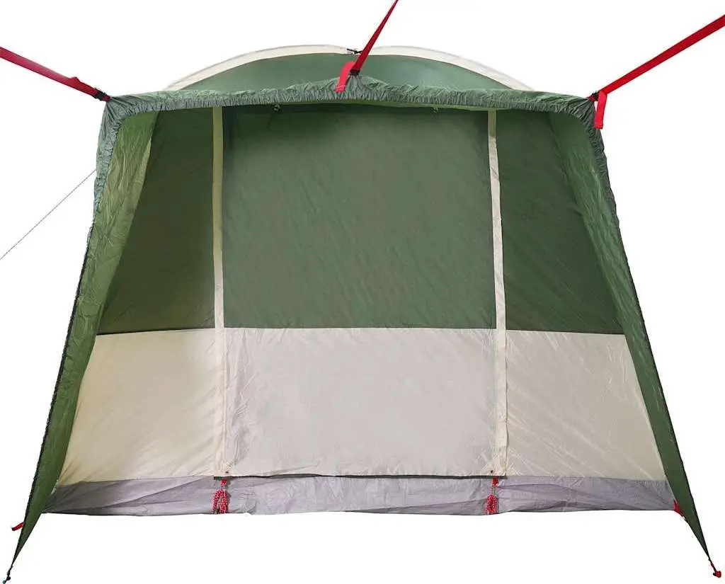 Cort VidaXL 4009488 (Green)