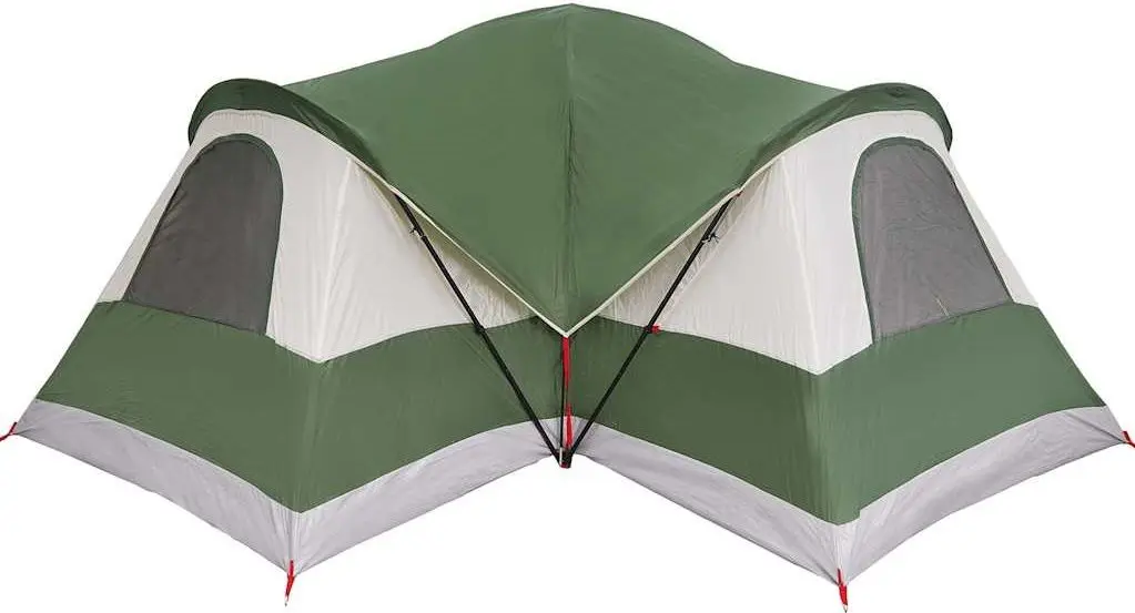 Cort VidaXL 4009552 (Green)