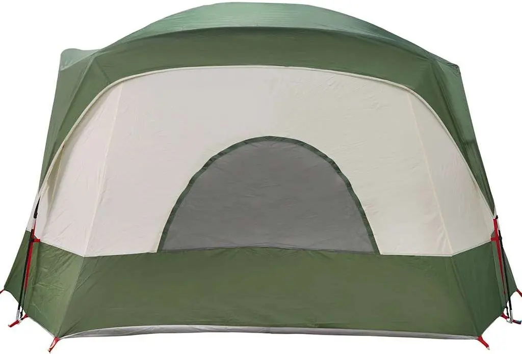 Cort VidaXL 4009555 (Green)