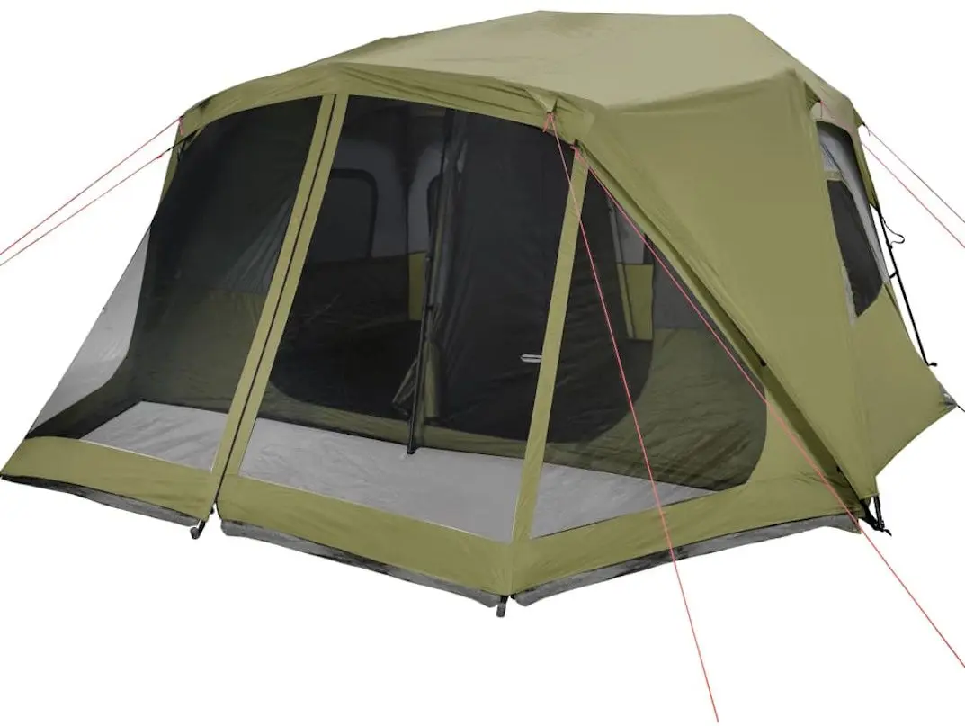 Cort VidaXL 94289 (Green)