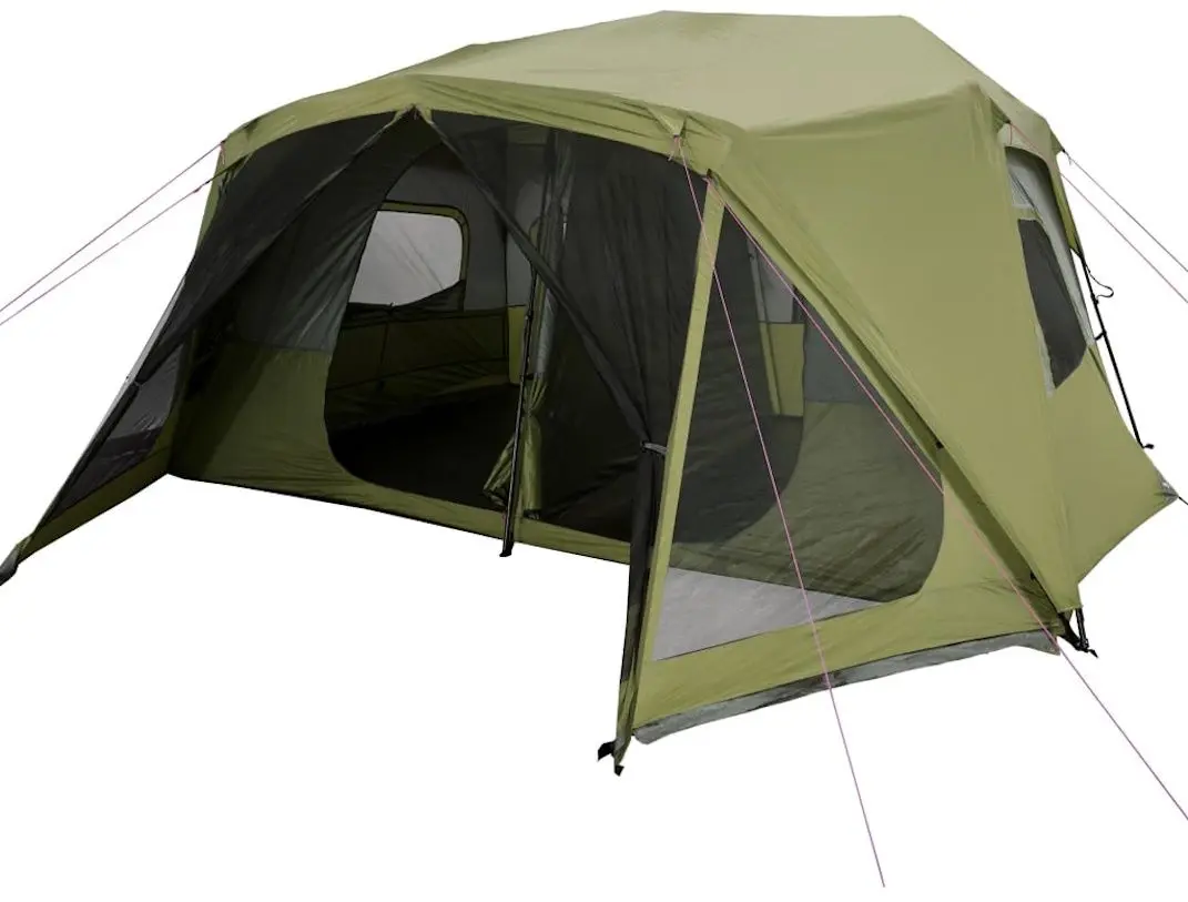 Cort VidaXL 94289 (Green)