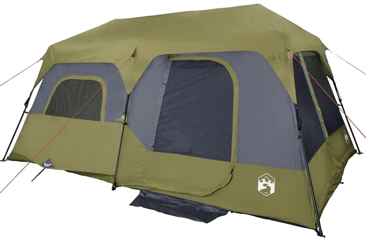 Cort VidaXL 94298 (Green)