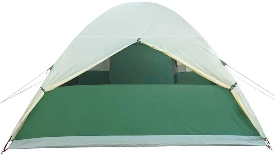 Cort VidaXL 94353 (Green)