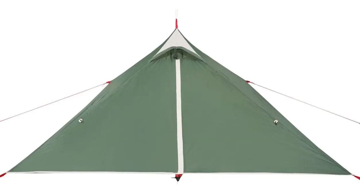 Cort VidaXL 94383 (Green)