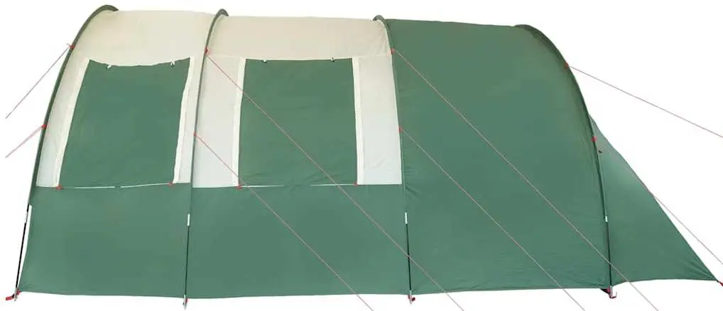 Cort VidaXL 94400 (Green)