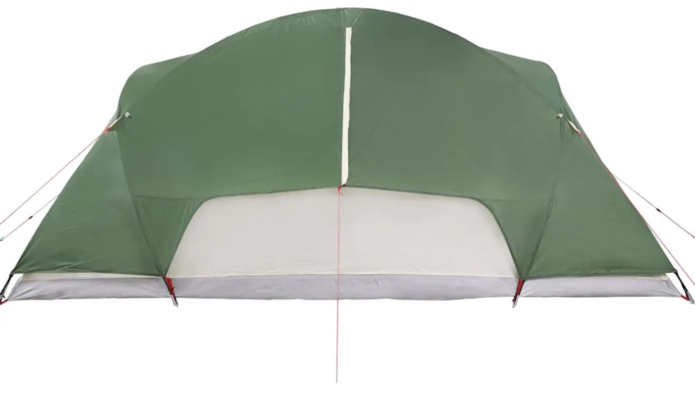 Cort VidaXL 94421 (Green)