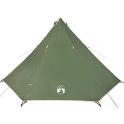 Cort VidaXL 94582 (Green)