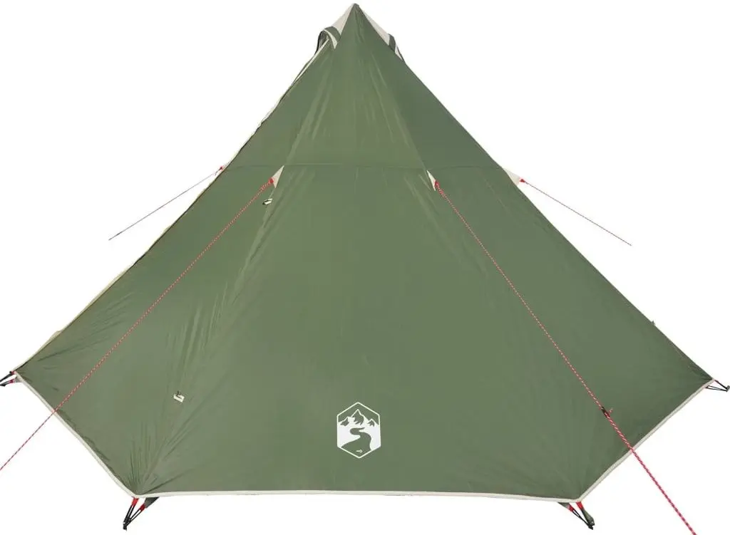 Cort VidaXL 94582 (Green)