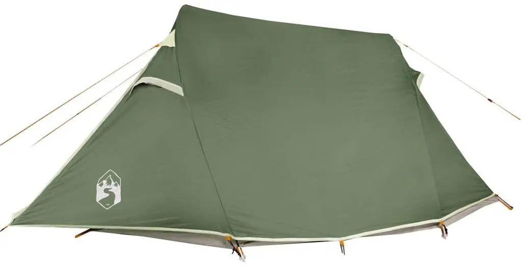 Cort VidaXL 94600 (Green)