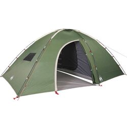 Cort VidaXL 94716 (Green)