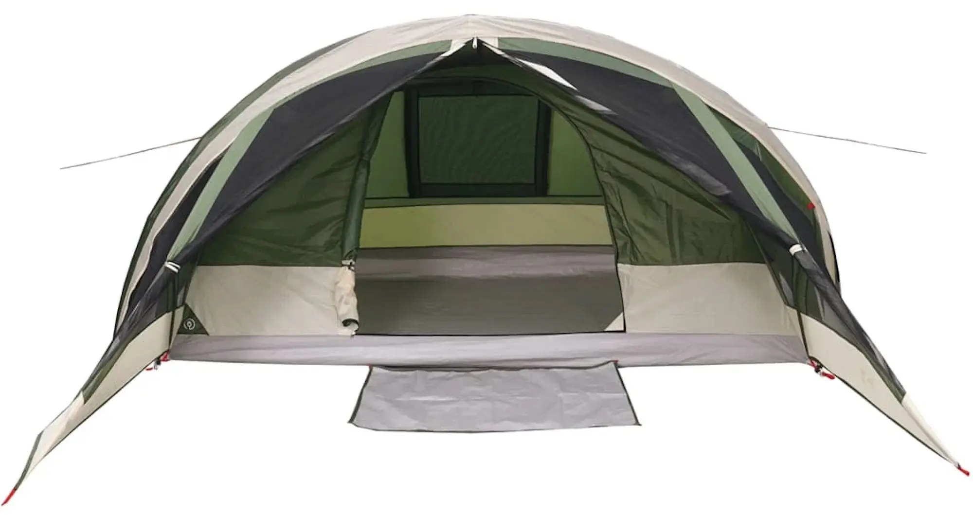 Cort VidaXL 94746 (Green)