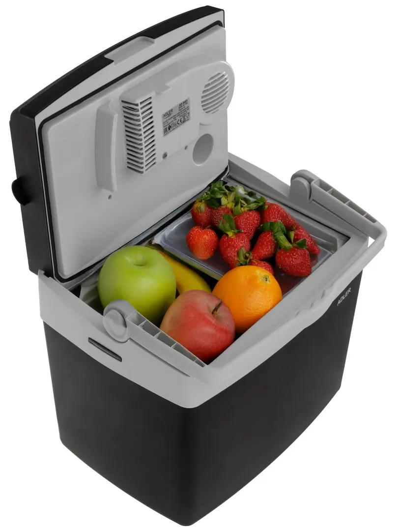 Frigider auto Adler AD 8091 (Black/Grey)