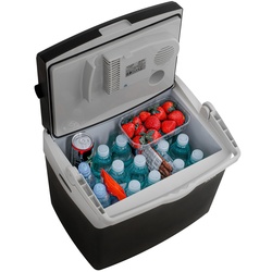 Frigider auto Adler AD 8091 (Black/Grey) Thumb