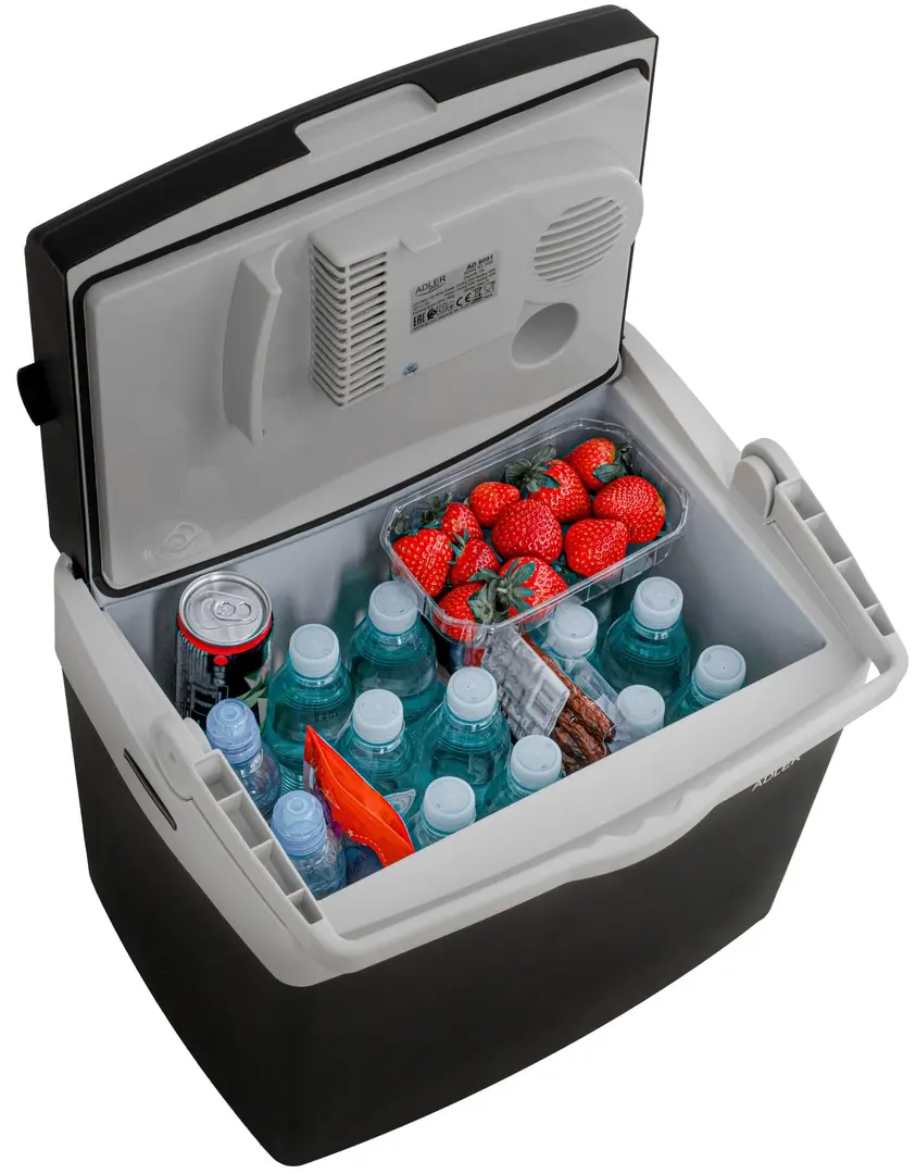 Frigider auto Adler AD 8091 (Black/Grey)
