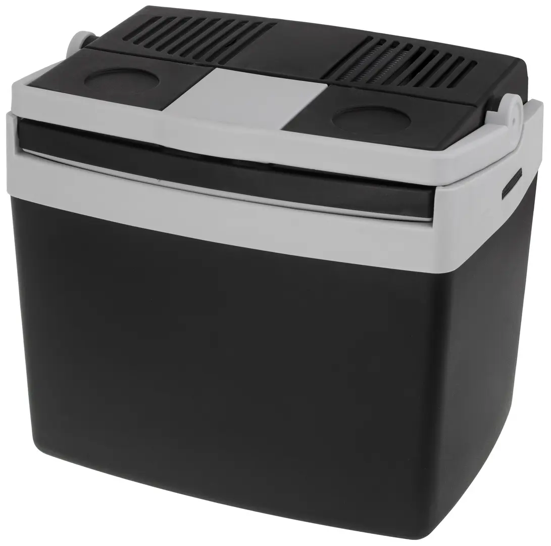 Frigider auto Adler AD 8091 (Black/Grey)