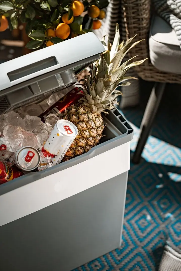 Frigider portabil Adler AD 8078 (Grey/White)