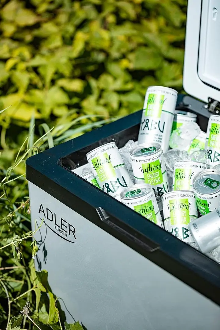 Frigider auto Adler AD 8081 40L (Silver/Black)